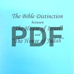 The Bible Distinction.jpg
